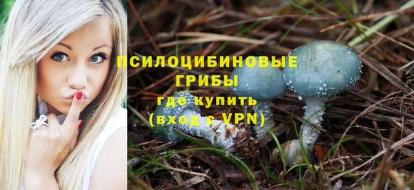 соль ск Арсеньев